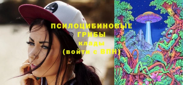 ПСИЛОЦИБИНОВЫЕ ГРИБЫ Волоколамск