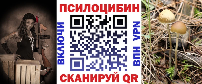darknet состав  mega ТОР  Псилоцибиновые грибы Psilocybine cubensis  Остров  хочу наркоту 